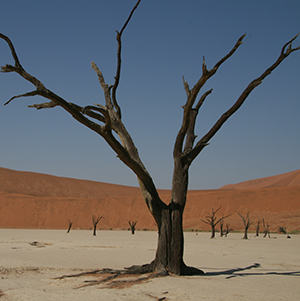 namibie